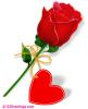 10img10215e09bfa0